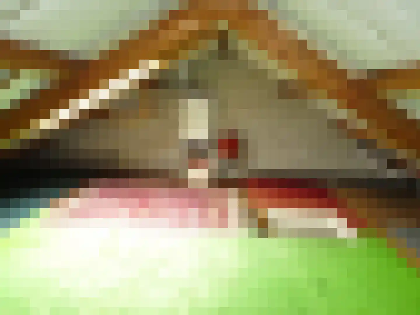 Plantsoenstraat 5 Kolhorn thumbnail 21