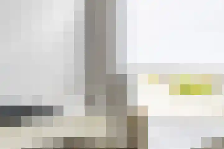 Plantsoenstraat 50 Groningen thumbnail 14