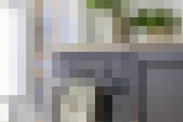 Plantsoenstraat 50 Groningen thumbnail 15
