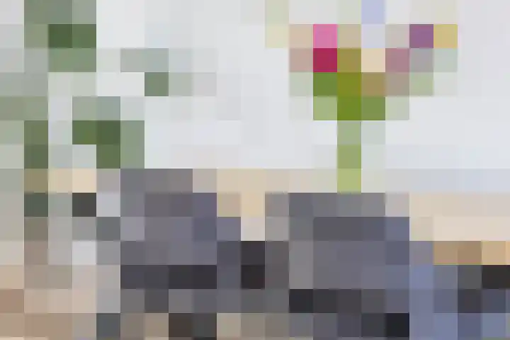 Plantsoenstraat 50 Groningen thumbnail 20