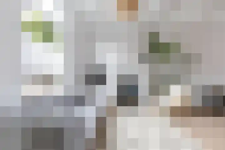Plantsoenstraat 50 Groningen thumbnail 25
