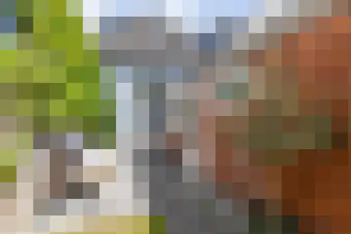 Plantsoenstraat 50 Groningen thumbnail 33