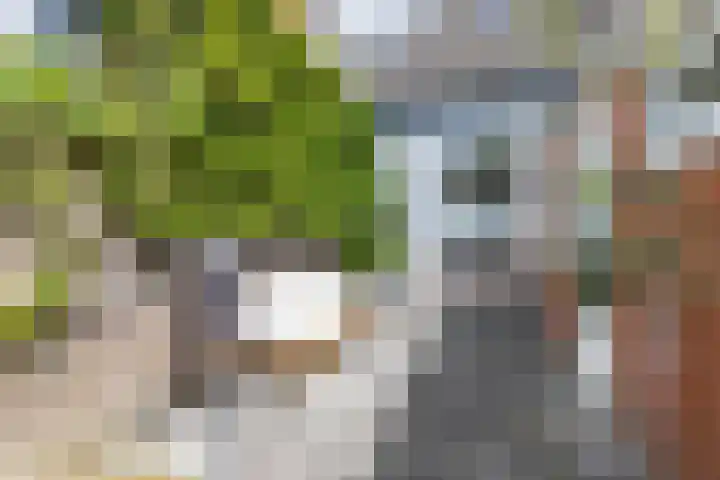 Plantsoenstraat 50 Groningen thumbnail 34