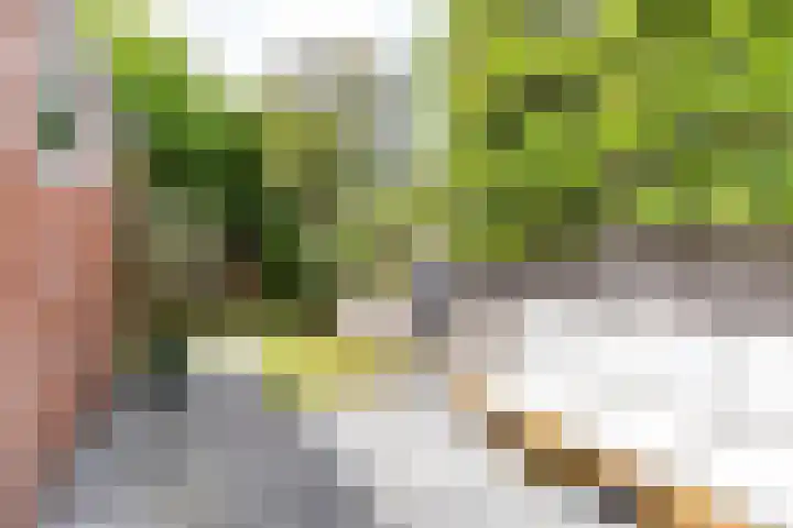 Plantsoenstraat 50 Groningen thumbnail 35