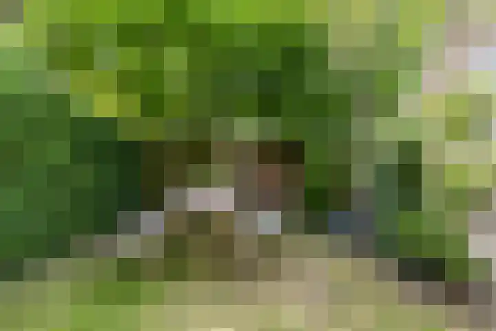 Plantsoenstraat 50 Groningen thumbnail 37