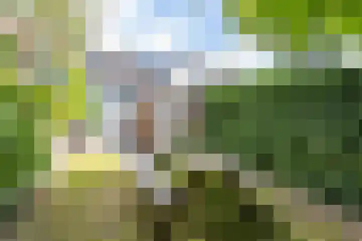 Plantsoenstraat 50 Groningen thumbnail 38