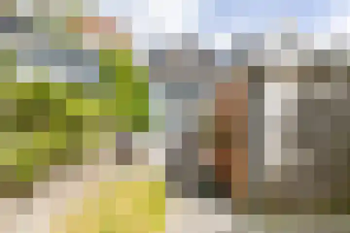 Plantsoenstraat 50 Groningen thumbnail 39