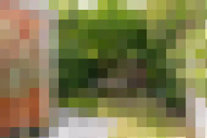 Plantsoenstraat 50 Groningen thumbnail 4