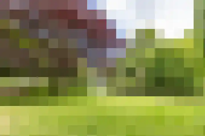 Plantsoenstraat 50 Groningen thumbnail 57