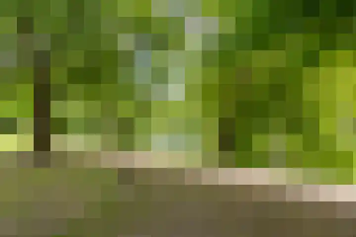 Plantsoenstraat 50 Groningen thumbnail 58