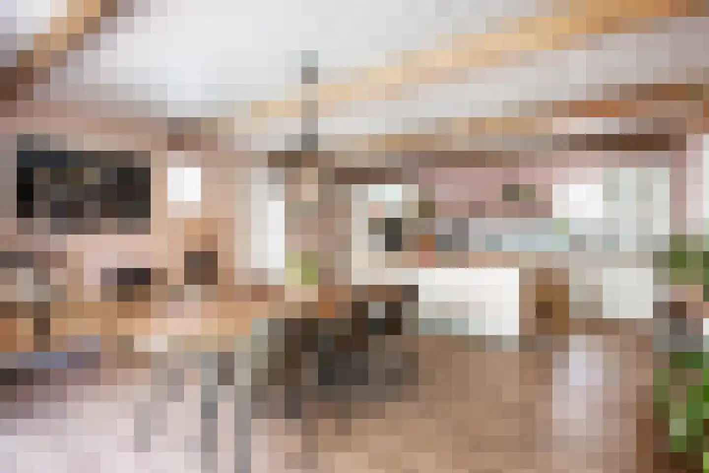 Plantsoenstraat 6 Bedum thumbnail 19