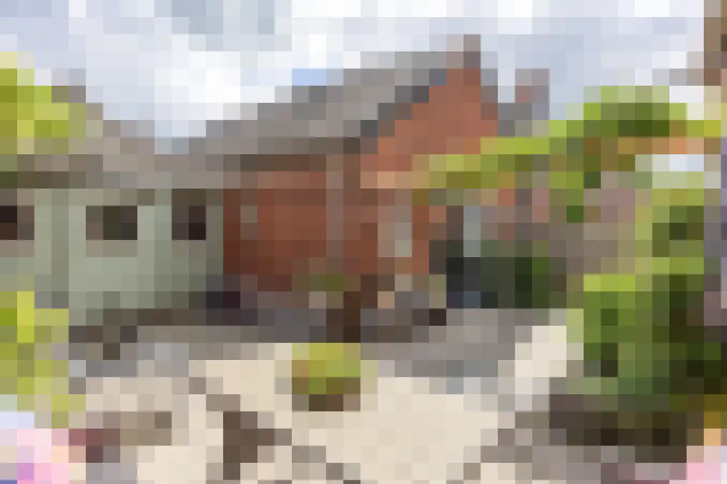 Plantsoenstraat 6 Bedum thumbnail 54