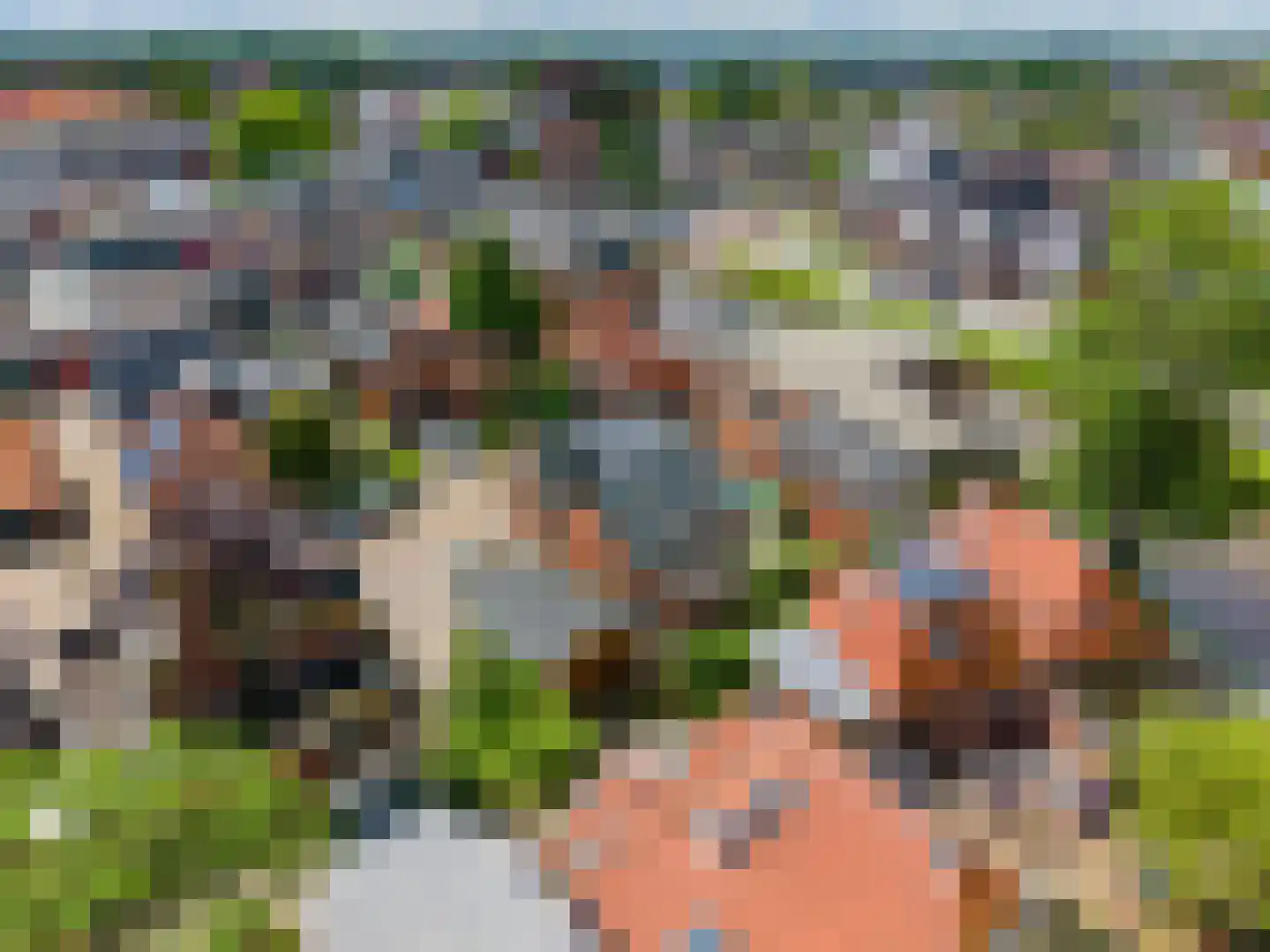 Plantsoenstraat 6 Bedum thumbnail 6