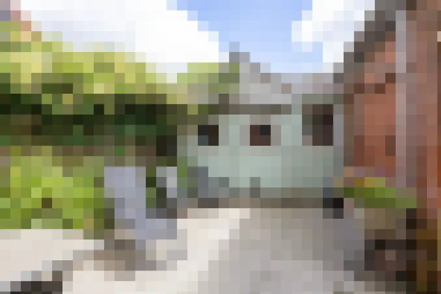Plantsoenstraat 6 Bedum thumbnail 63