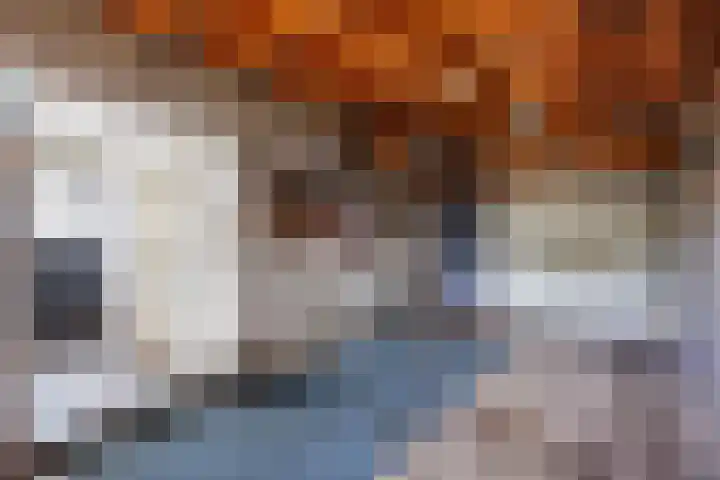 Plantsoenstraat 7 Eenrum thumbnail 18