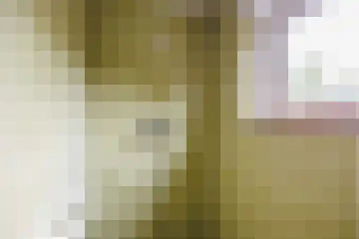 Plantsoenstraat 7 Eenrum thumbnail 25