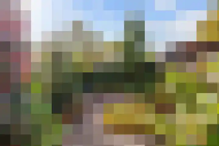 Plantsoenstraat 7 Eenrum thumbnail 30