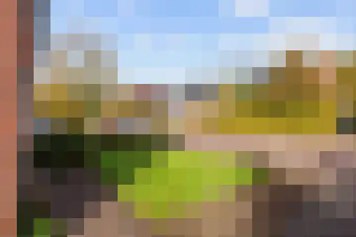 Plantsoenstraat 7 Eenrum thumbnail 5