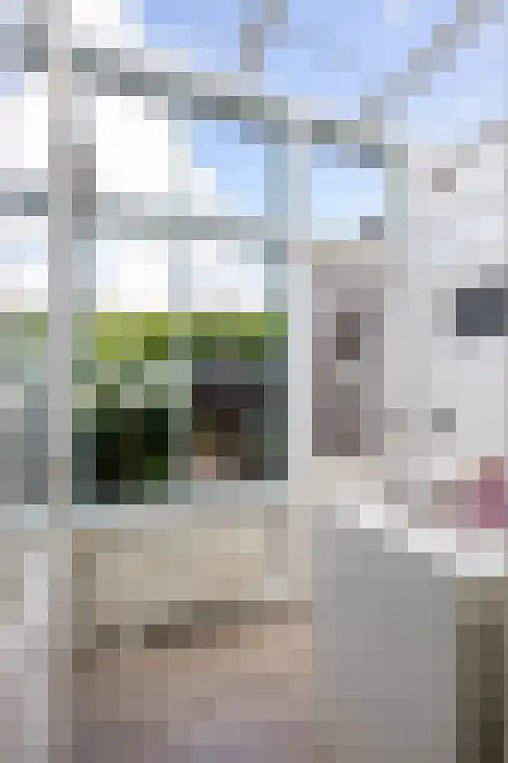 Plantsoenstraat 7 Groningen thumbnail 21