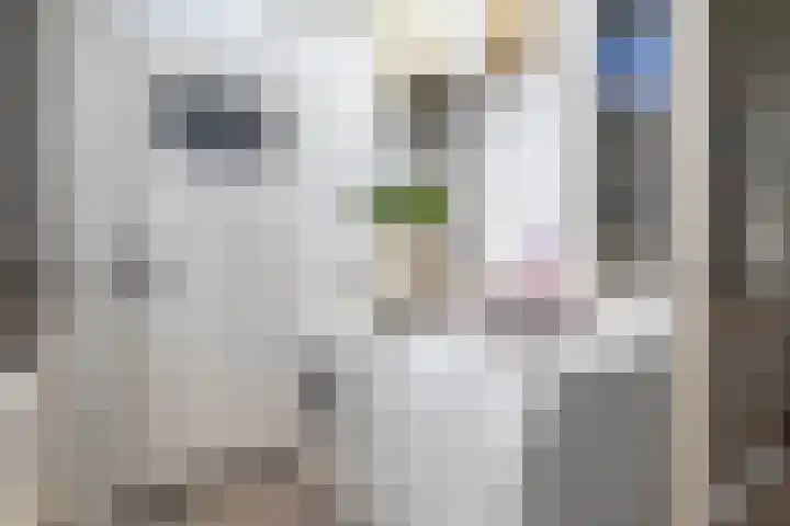 Plantsoenstraat 7 Groningen thumbnail 22