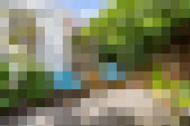 Plantsoenstraat 7 Groningen thumbnail 28