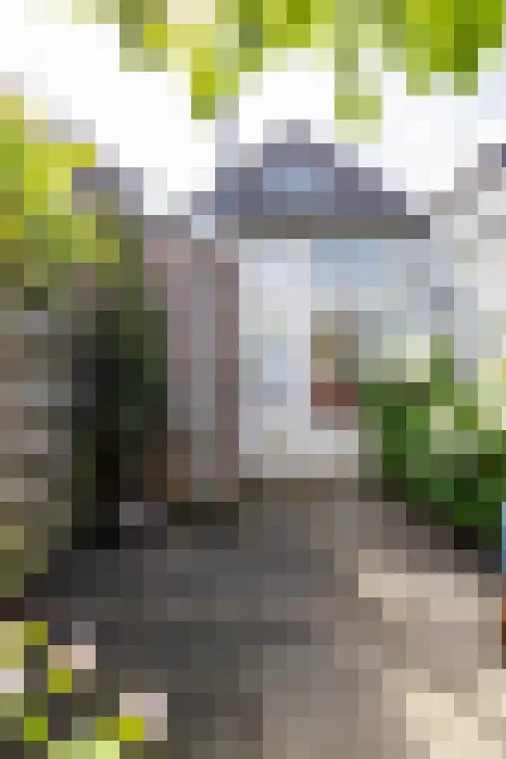 Plantsoenstraat 7 Groningen thumbnail 29