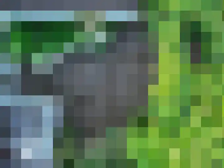 Plantsoenstraat 7 Groningen thumbnail 49