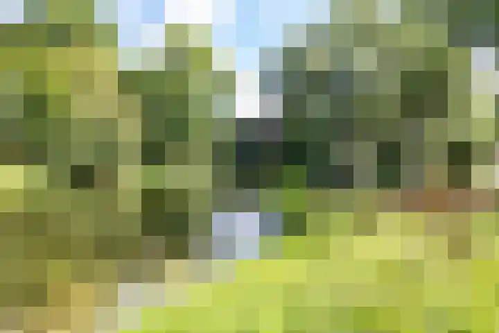 Plantsoenstraat 7 Groningen thumbnail 50