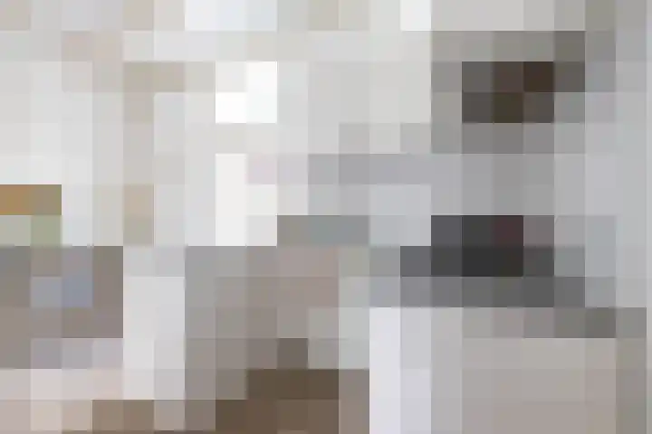 Plantsoenstraat 7 Groningen thumbnail 8