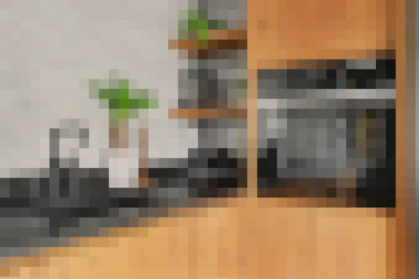 Plantsoenstraat 8 Kolhorn thumbnail 13