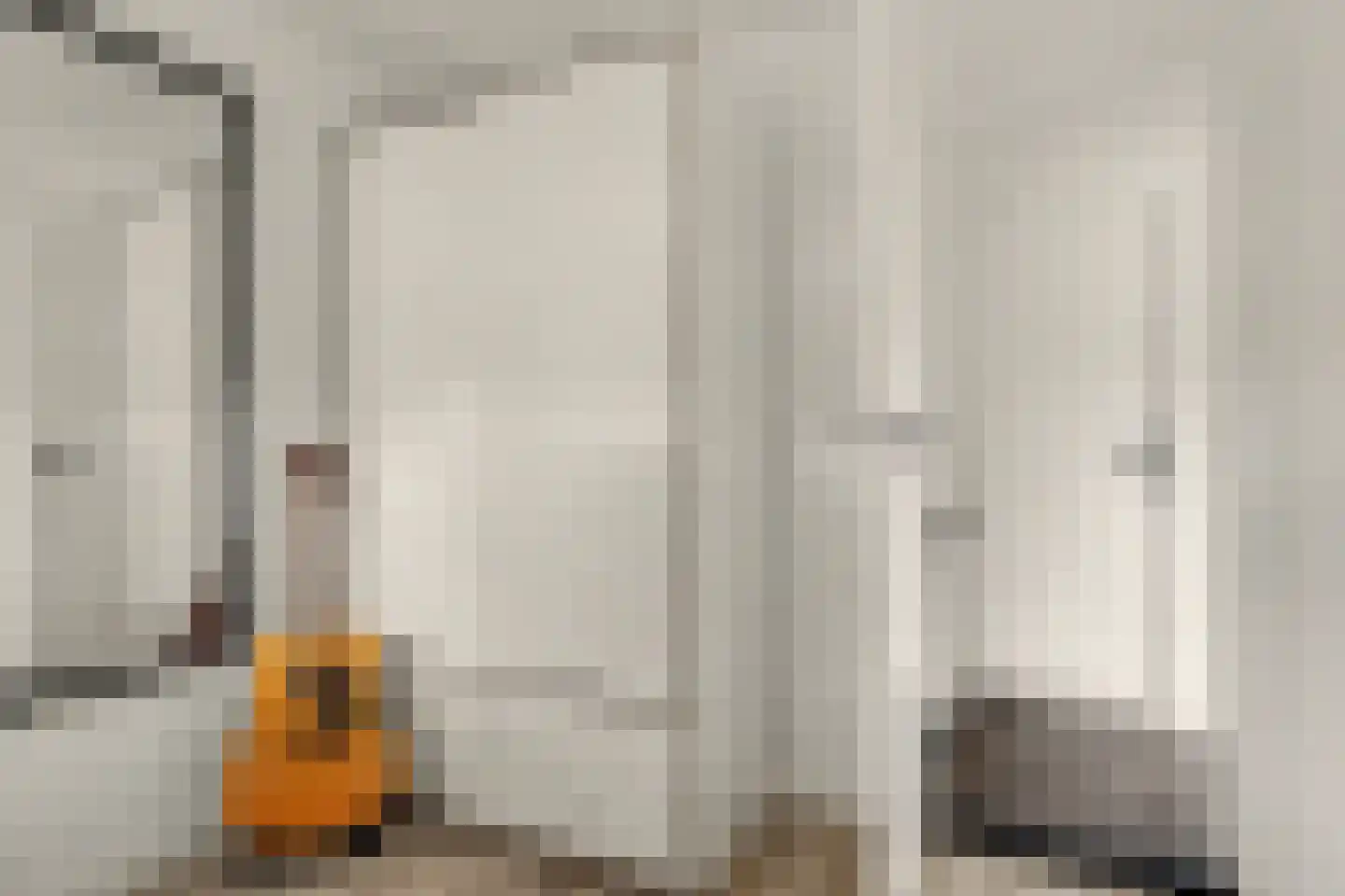 Plantsoenstraat 8 Kolhorn thumbnail 37