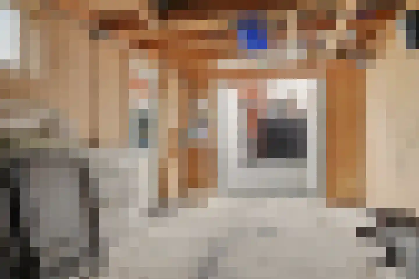 Plantsoenstraat 8 Kolhorn thumbnail 41
