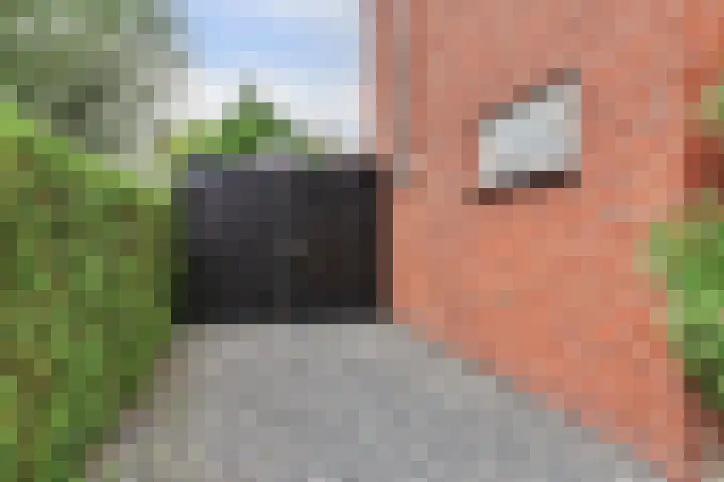 Plantsoenstraat 8 Kolhorn thumbnail 42