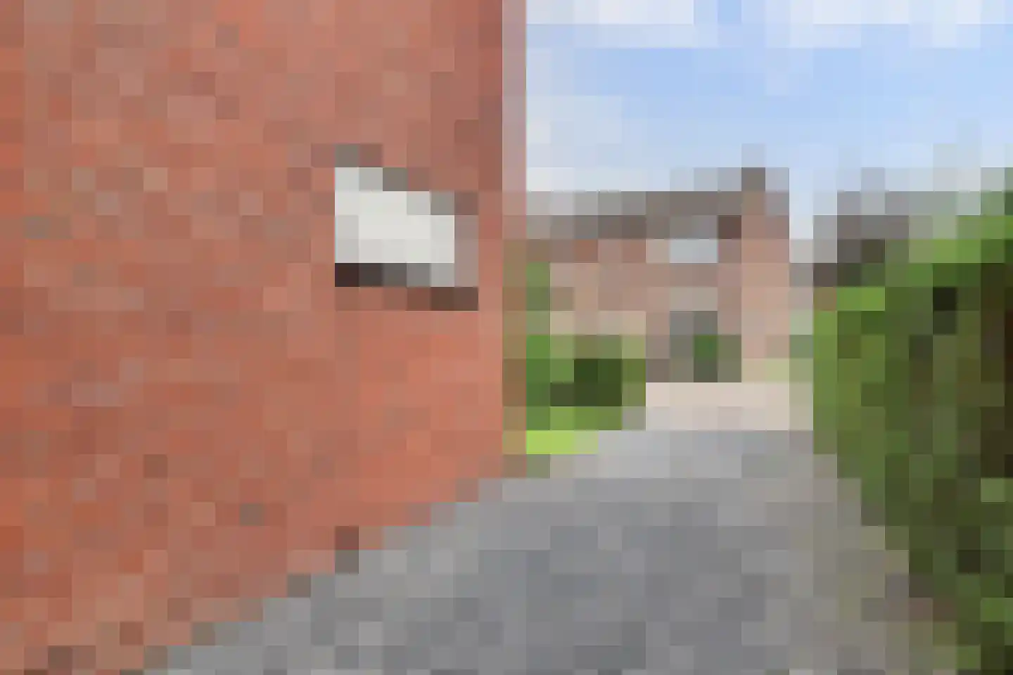 Plantsoenstraat 8 Kolhorn thumbnail 43