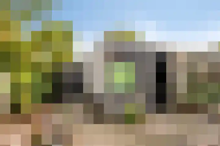 Plantsoenweg 26 c Blijham thumbnail 45