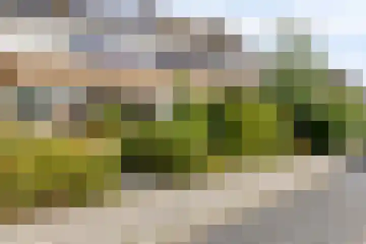 Plantsoenweg 26 c Blijham thumbnail 6