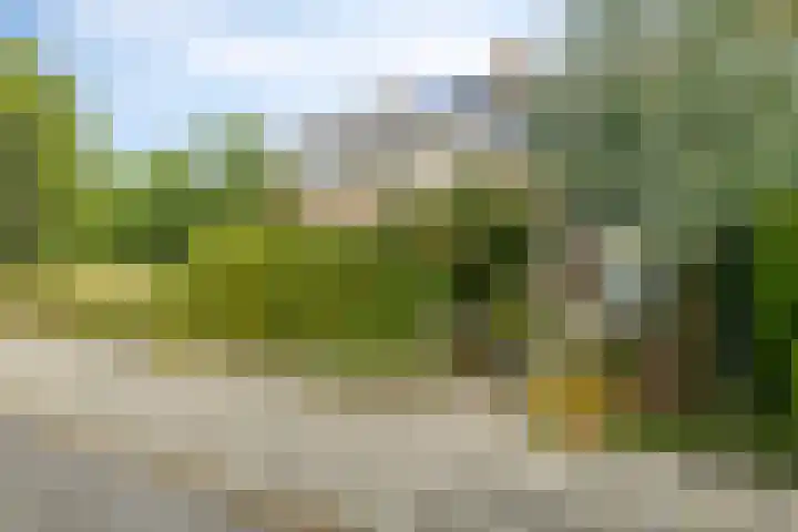 Plantsoenweg 26 c Blijham thumbnail 7