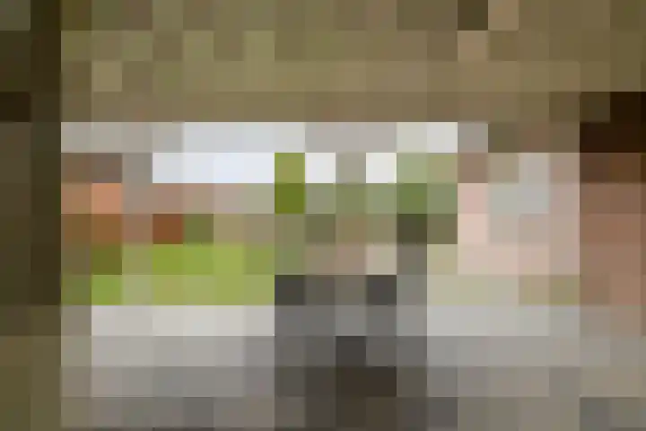 Plantsoenweg 4 Weiteveen thumbnail 11