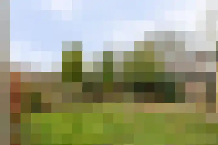 Plantsoenweg 4 Weiteveen thumbnail 15