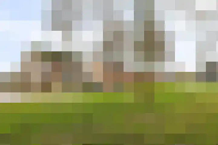 Plantsoenweg 4 Weiteveen thumbnail 52