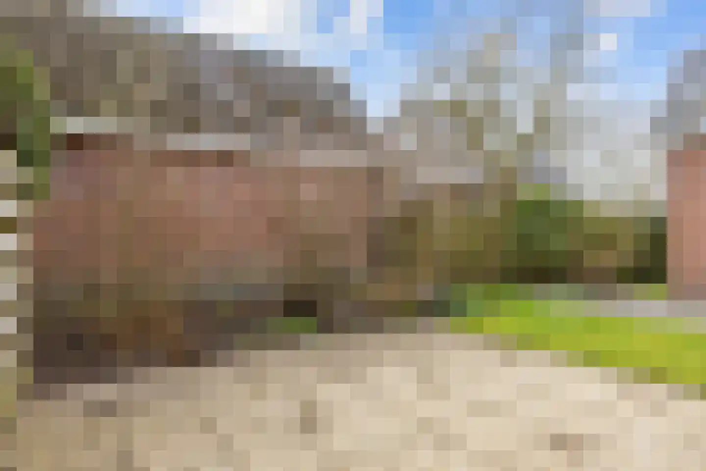 Plantsoenweg 9 Sauwerd thumbnail 54