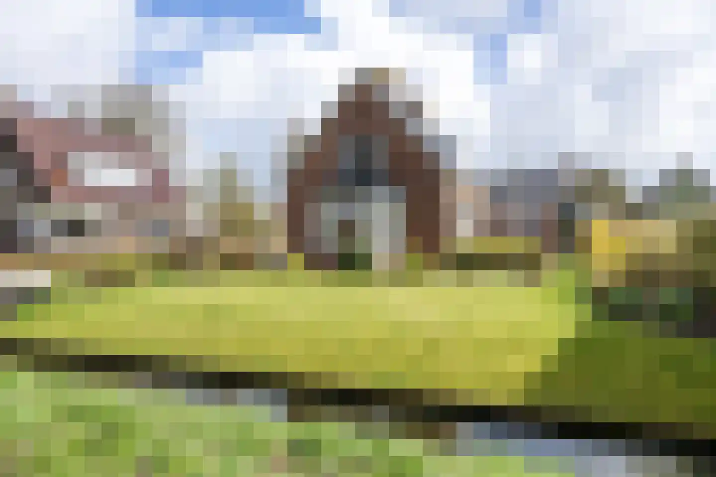 Plantsoenweg 9 Sauwerd thumbnail 6