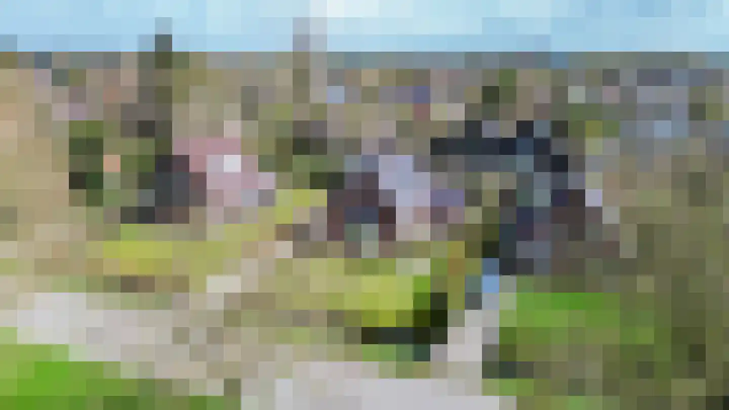 Plantsoenweg 9 Sauwerd thumbnail 66