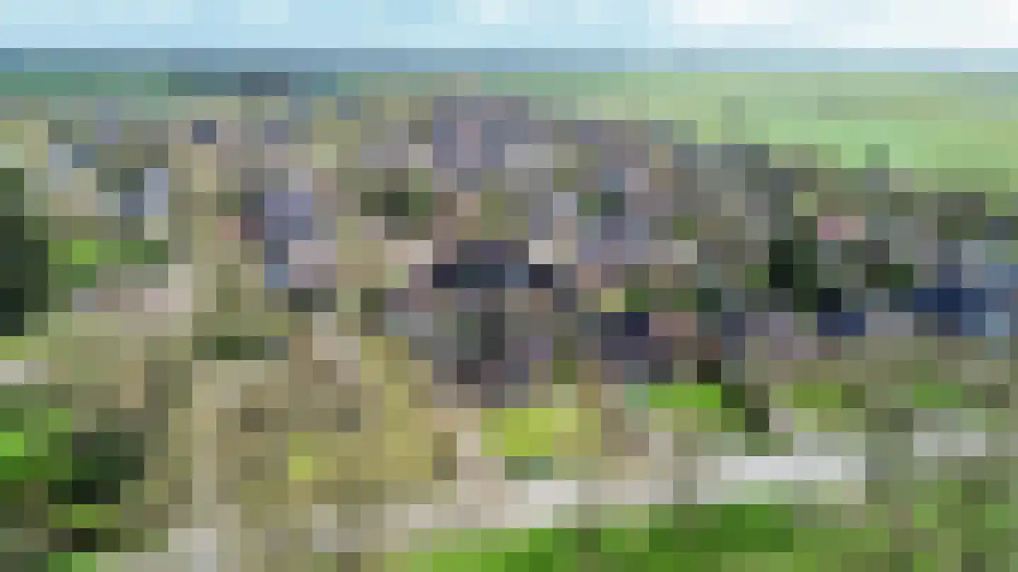 Plantsoenweg 9 Sauwerd thumbnail 67