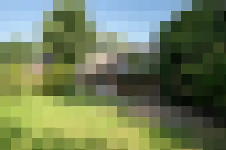 Plasdijk 20 Markelo thumbnail 10