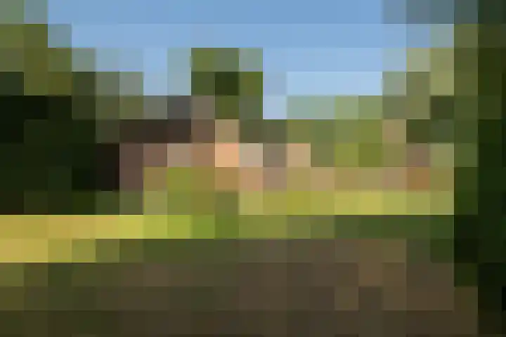 Plasdijk 20 Markelo thumbnail 11