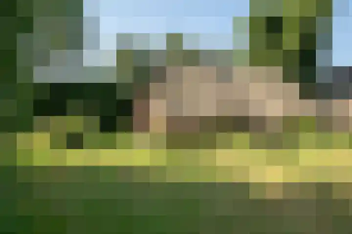 Plasdijk 20 Markelo thumbnail 12