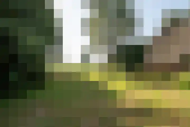 Plasdijk 20 Markelo thumbnail 13