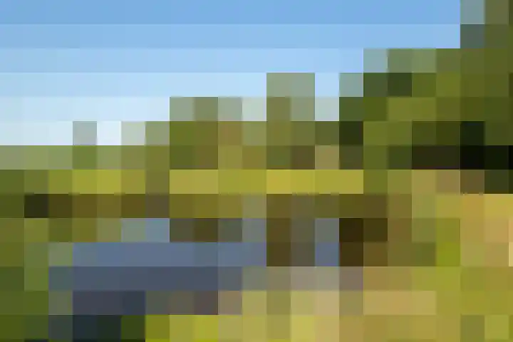 Plasdijk 20 Markelo thumbnail 14