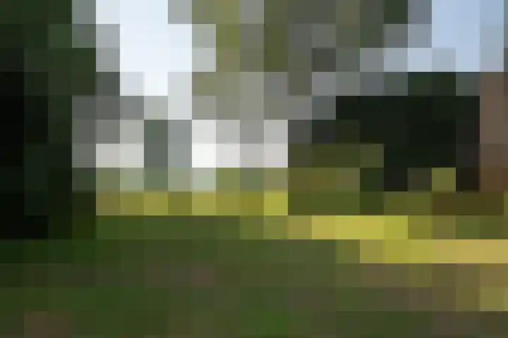 Plasdijk 20 Markelo thumbnail 15